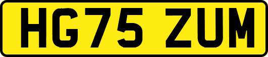 HG75ZUM
