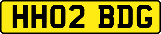 HH02BDG