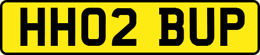 HH02BUP