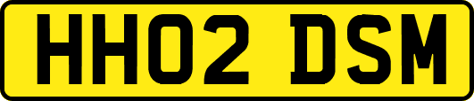 HH02DSM