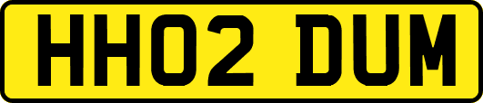 HH02DUM