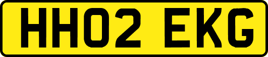 HH02EKG