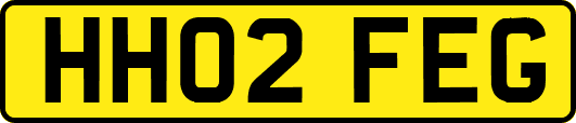 HH02FEG