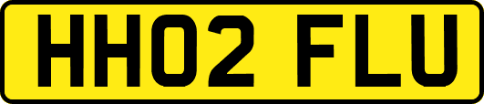 HH02FLU