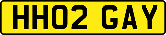 HH02GAY