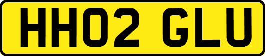 HH02GLU
