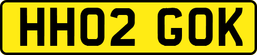 HH02GOK
