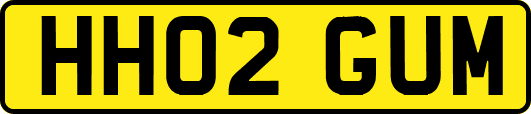 HH02GUM
