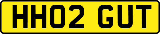 HH02GUT