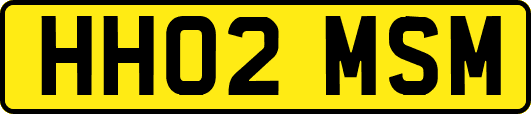 HH02MSM