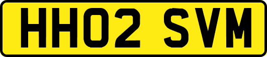 HH02SVM
