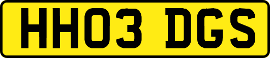 HH03DGS