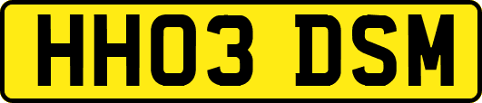 HH03DSM