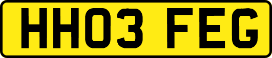HH03FEG