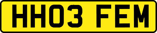 HH03FEM