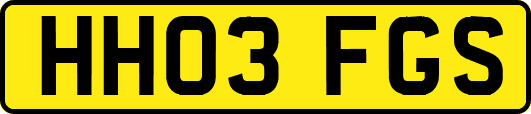 HH03FGS