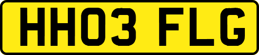 HH03FLG