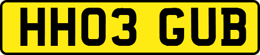 HH03GUB