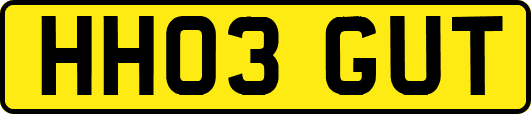 HH03GUT