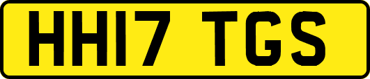 HH17TGS