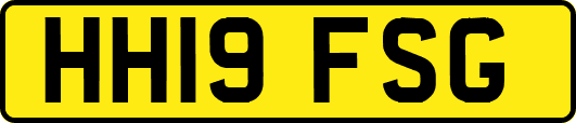 HH19FSG