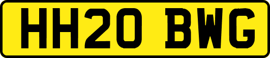 HH20BWG