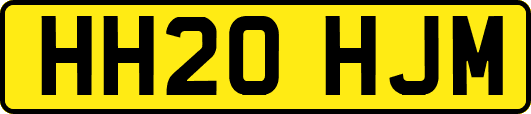 HH20HJM