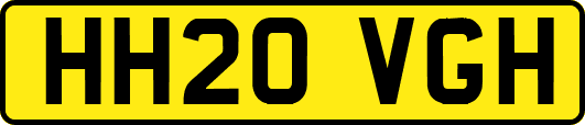 HH20VGH