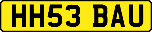 HH53BAU
