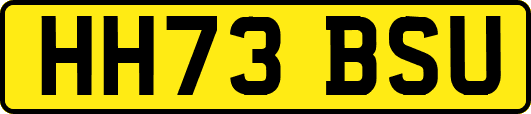 HH73BSU