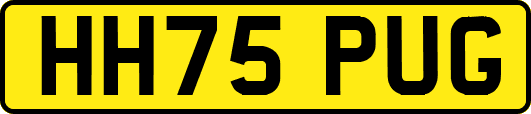 HH75PUG
