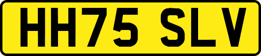 HH75SLV