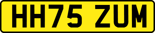 HH75ZUM
