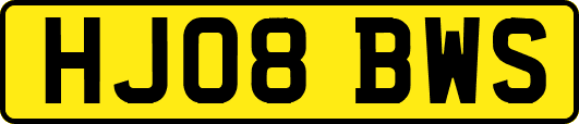 HJ08BWS