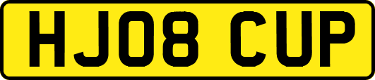 HJ08CUP