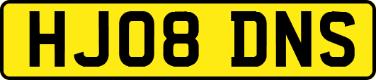 HJ08DNS