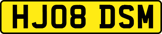 HJ08DSM