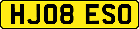 HJ08ESO