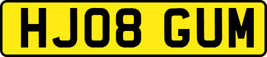 HJ08GUM