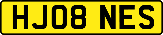 HJ08NES