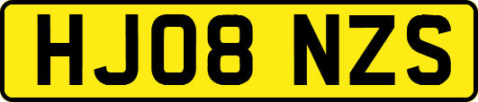 HJ08NZS