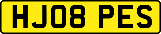 HJ08PES