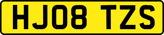 HJ08TZS