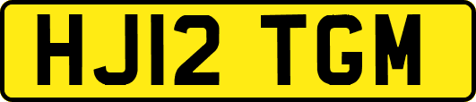HJ12TGM