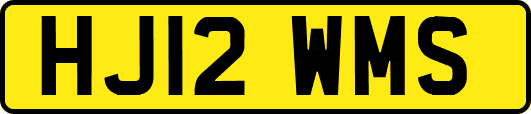 HJ12WMS