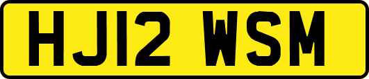 HJ12WSM