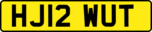 HJ12WUT