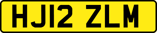 HJ12ZLM