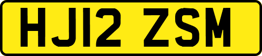 HJ12ZSM