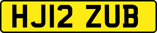 HJ12ZUB